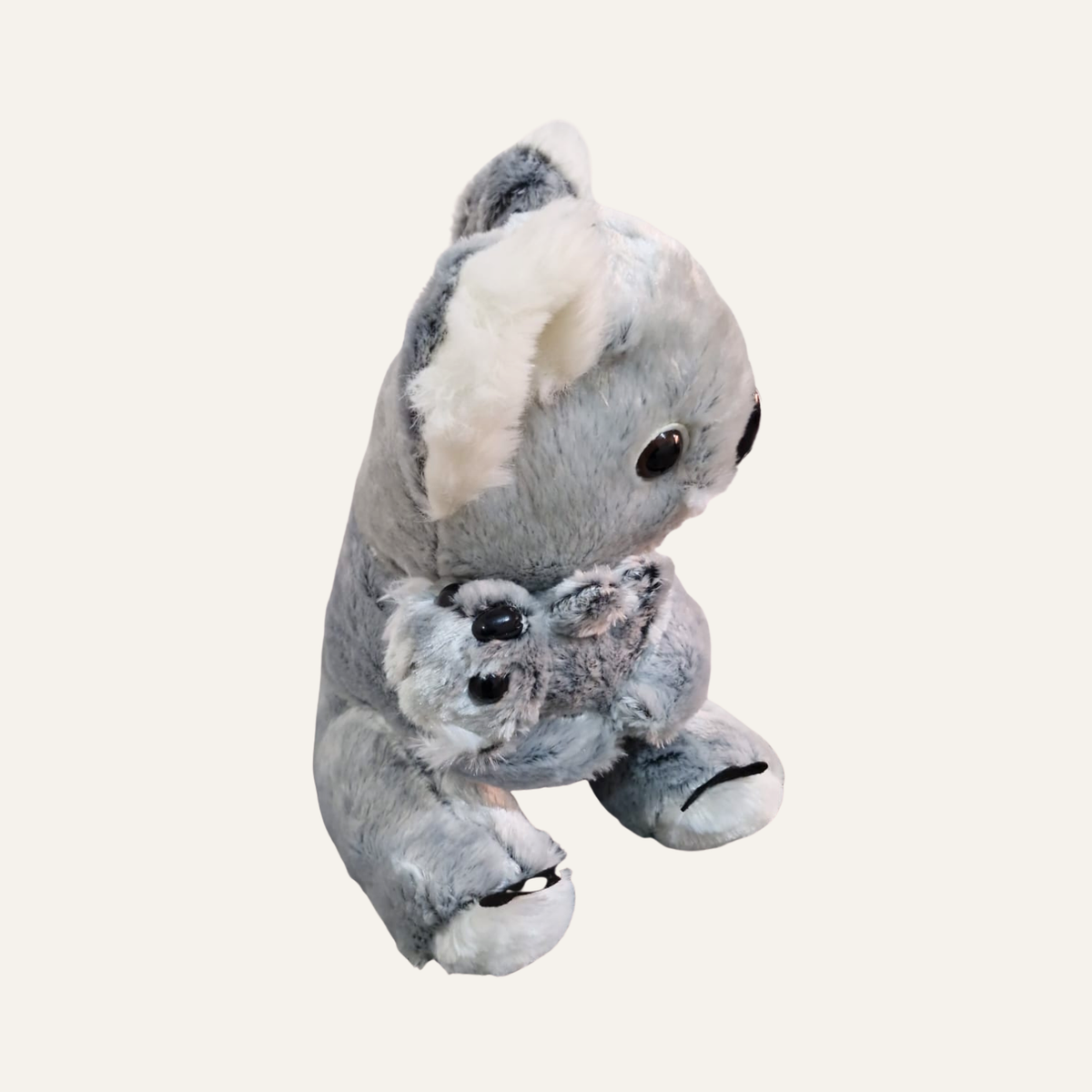 Koala koalita