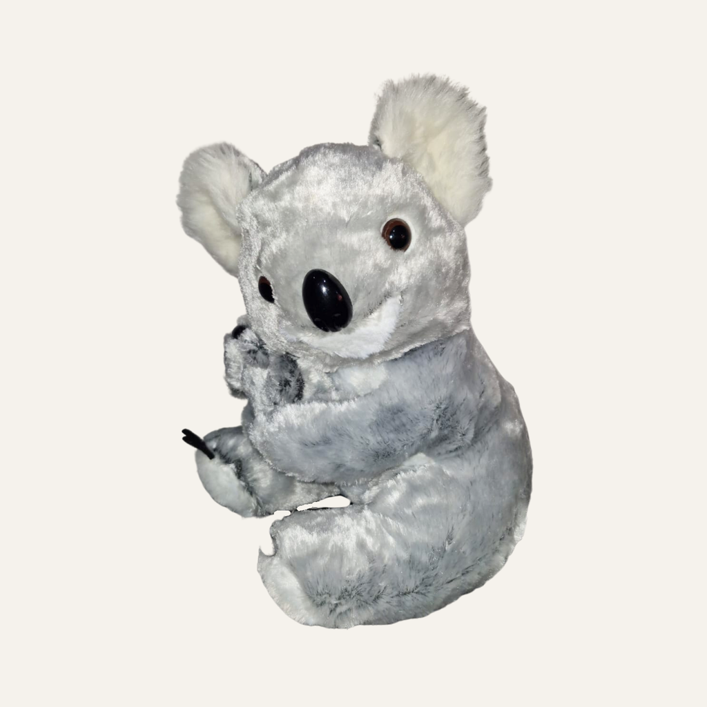 Koala koalita
