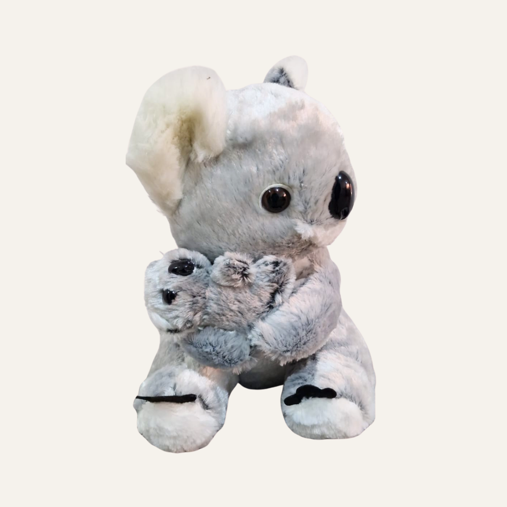 Koala koalita