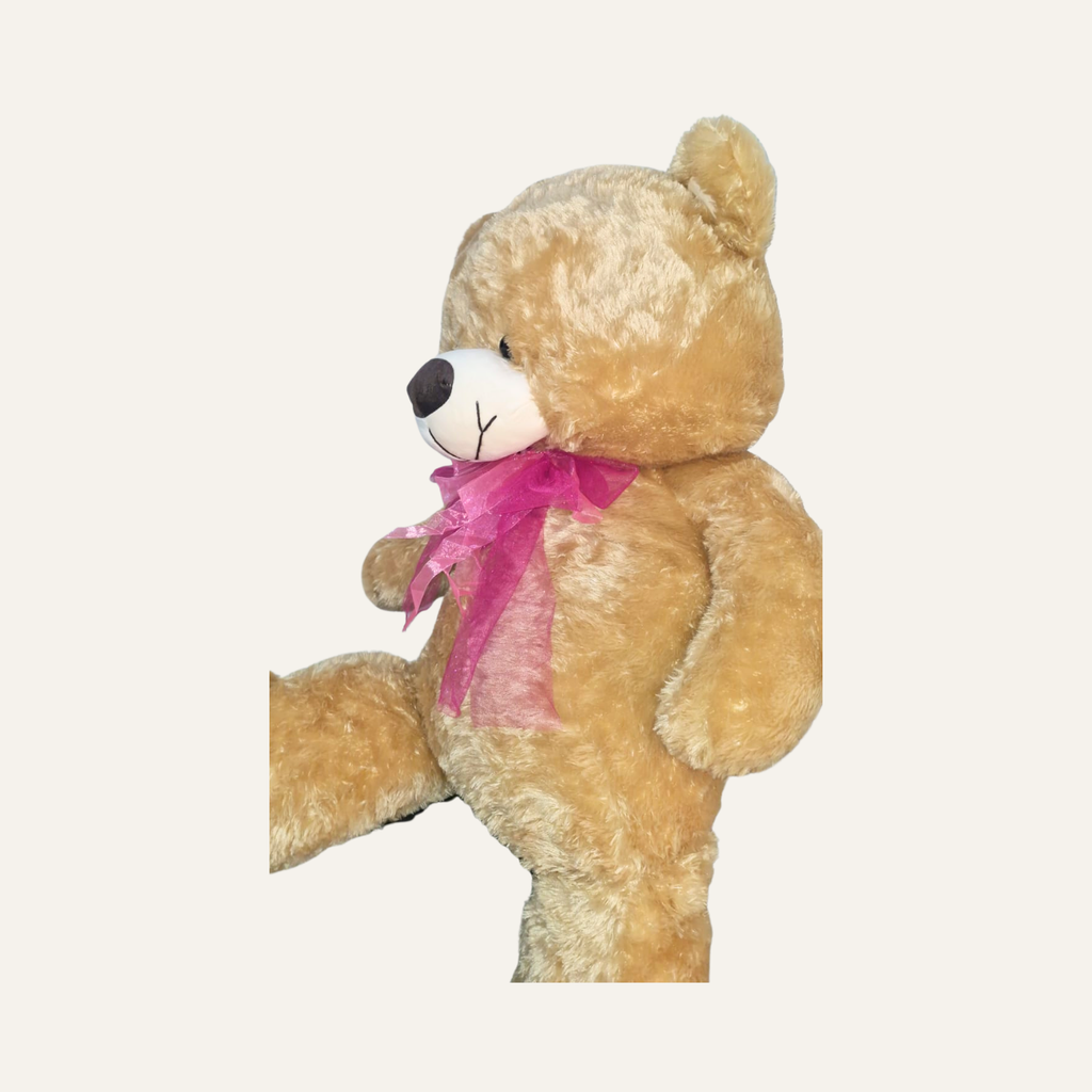 Osos peludos