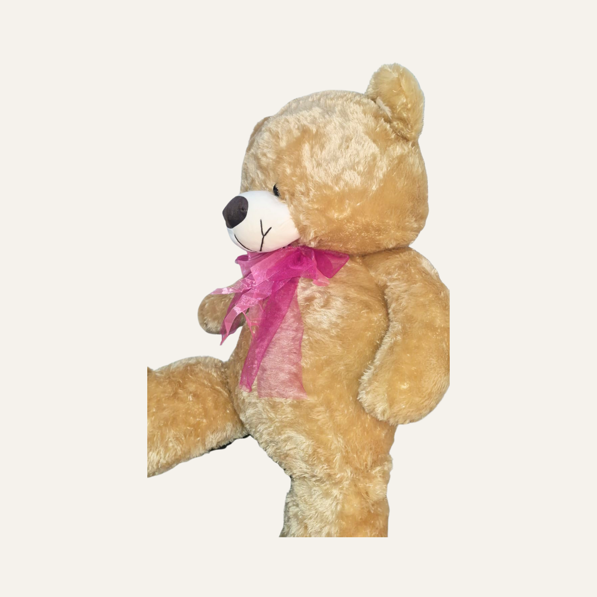 Osos peludos