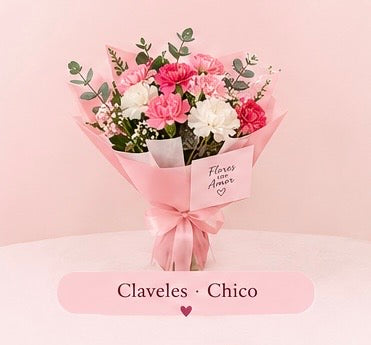 Suscripción mensual de claveles