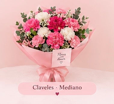 Suscripción quincenal de claveles