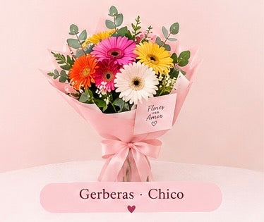 Suscripción quincenal de gerberas