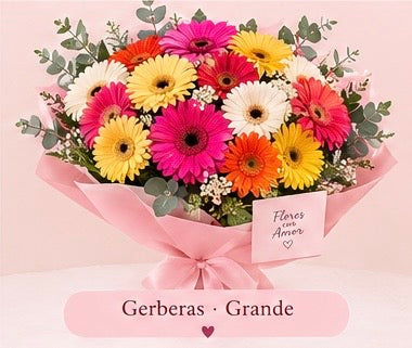 Suscripción semanal de gerberas
